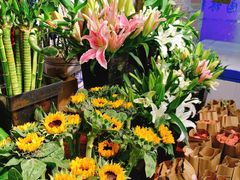 -怡花宜木鲜花店(朝阳路店)