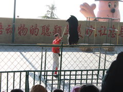 -东方熊牧场