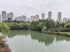 -青枫公园