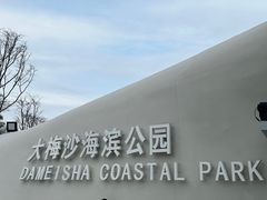 -大梅沙海滨公园