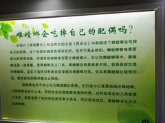 -上海昆虫博物馆