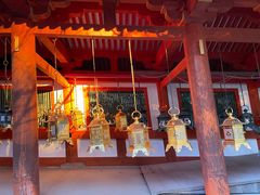 -奈良公园