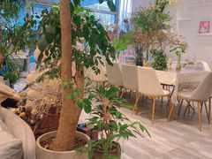 -卓花境Flowerwonderland花店