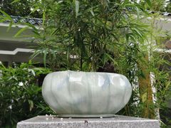 -晓港公园