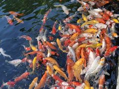 -番禺宾馆丽苑厅