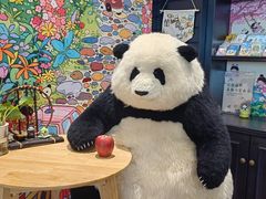 -轩客会(熊猫书店)