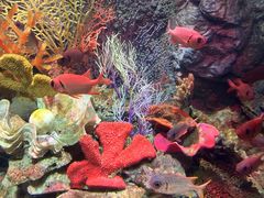 -太平洋海底世界