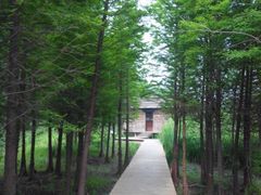 -溱湖国家湿地公园