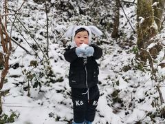 -武陵山森林公园