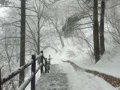 -秦岭天竺山景区
