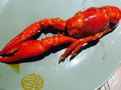 -小杨烤肉(朱雀店)