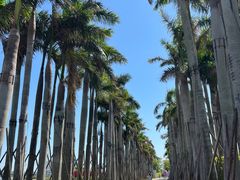 -北海金海湾红树林生态旅游区