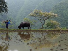 -西江千户苗寨-百年吊脚楼