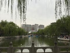 -文瀛公园