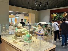 -帕帕拉兹宠物(亚洲旗舰店)