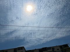 -中国中医科学院西苑医院(本部)