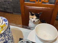 -川白楼·老成都院坝川菜鱼鲜馆(马鞍路店)