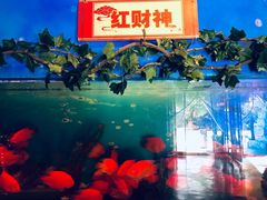 -白鹿仓冰雪海洋世界