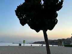 -青岛第三海水浴场