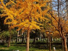 -木塔寺遗址生态公园