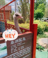 -萌宠亲子动物乐园(槐房万达店)