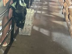 -将军关探险漂流