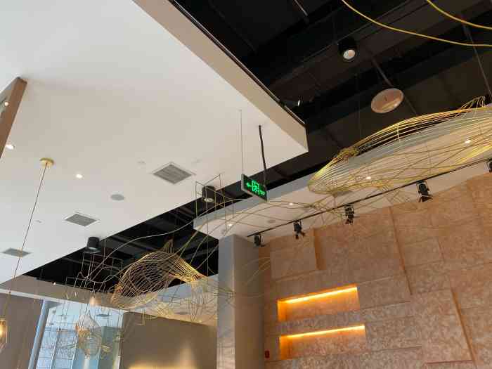 gray whale灰鲸餐厅(国金店)-"在这个无数网红餐厅被打脸的时代,难得