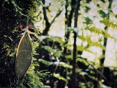 -中国湿地博物馆