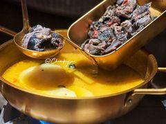 -Darling Queen·Mini·Live·House