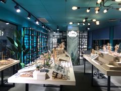 -Trend1881视光·蔡司视觉(领展广场店)