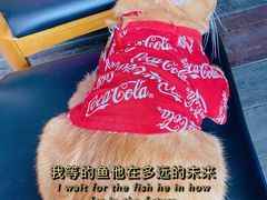 -壹丁咖啡(宽窄巷子店)