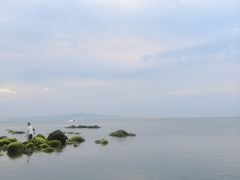 -半天妖烤鱼(芝罘吾悦广场店)