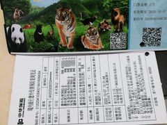 -栾川竹海野生动物园