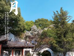 -汇龙潭