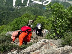 -午潮山国家森林公园