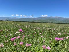 -新疆那拉提国家旅游度假区