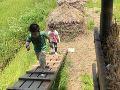 -长兴太湖图影湿地文化园