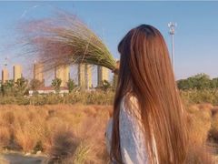 -映月湖中央公园