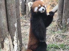 -宁波野生动物园