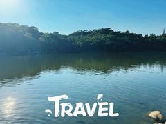 -深圳仙湖植物园