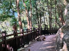 -雪玉洞景区