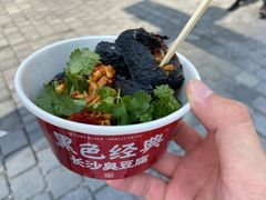 -黑色经典臭豆腐·湖南特产(坡子街店)