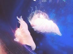 -中国湿地博物馆