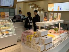 -蒲公英(五里店)