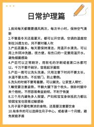 -月来悦好国际月子会所