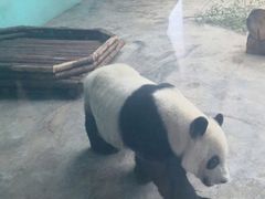 -石家庄市动物园