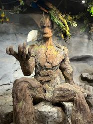 -Zoolung Zoolung动物主题公园(海信广场店)