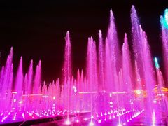 -大雁塔北广场音乐喷泉