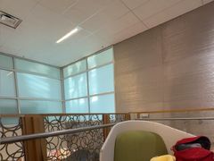 -达拉斯 沃斯堡国际机场