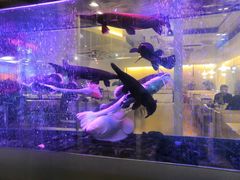 -衡山汇·高级粤菜(霄云路店)